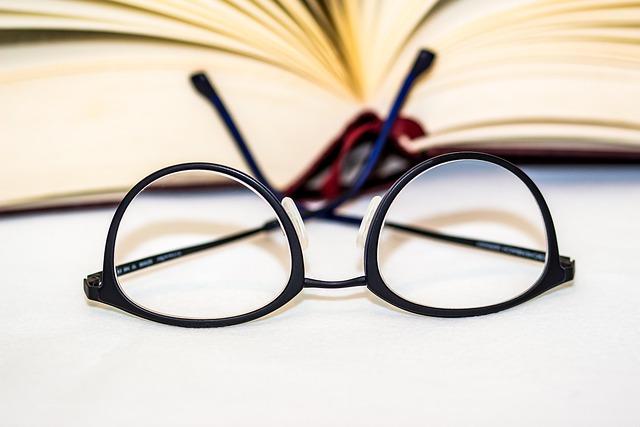 glasses eyeglass lenses reading glasses glasses frame visual aid reading aid clear view eye glasses eyesight see sharply see well