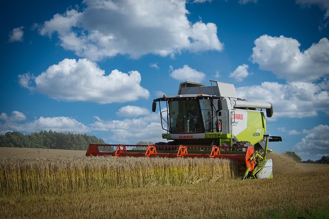 combine harvester harvest barley grain agriculture fields cornfield yield claas