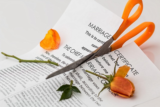 What the Data Doesn't Tell You — Oregon Divorce Settlement Review