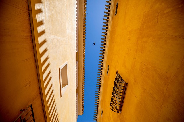 buildings houses sky bird nature roof street architecture old town mula murcia spain shadow sparrow animal facade window gr