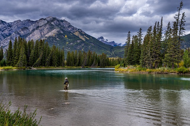 Spec Parsing vs. AI Summary vs. Forum Lore — Parks Canada 2026