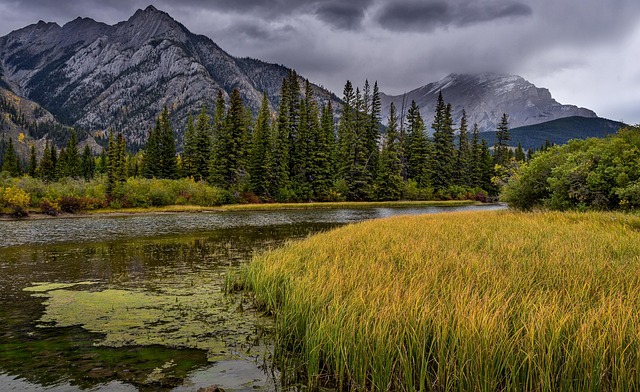 Comprehension Numbers — Parks Canada 2026