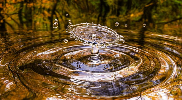 drop hd wallpaper wallpaper 4k nature wallpaper cool backgrounds windows wallpaper desktop backgrounds splash wallpaper hd nature