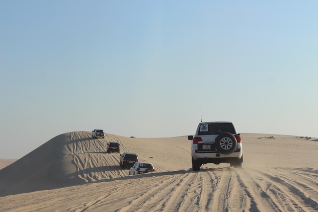 doha qatar nature desert