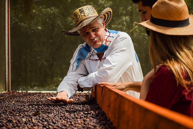 farmer coffee beans processing harvesting brown farmer