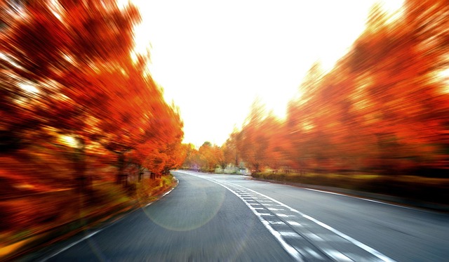 speeding the scenery autumn