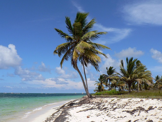 Work the Age Check — Punta Cana All-Inclusive Claims