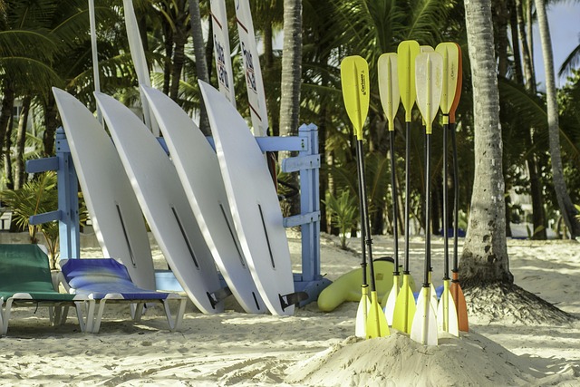 dominicana punta cana nature beach