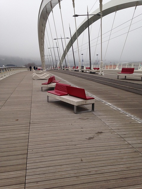 bridge lyon confluence lyonnais