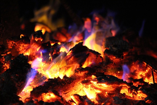 fire nature charcoal tree flame re campfire