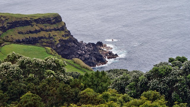 random photos saw third azores cliff landscape nature water sea forest park ocean