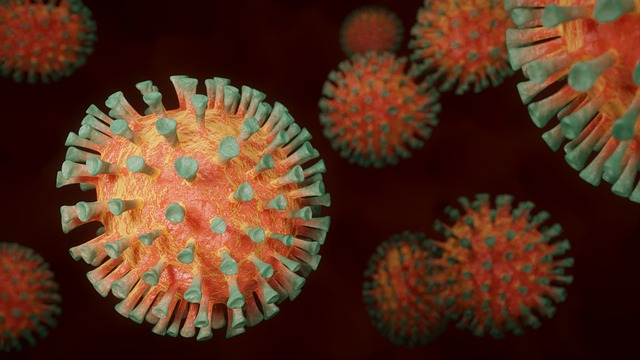 Respiratory Virus Vaccination Uptake
