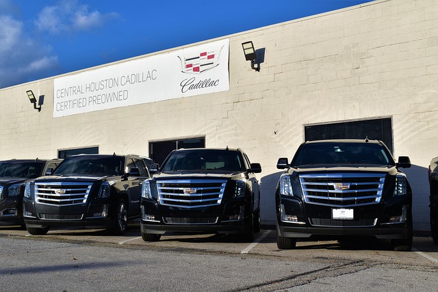 cadillac escalade suv row of trucks long wheel base sport edition black security vehicles bumper logo facing camera front exterior