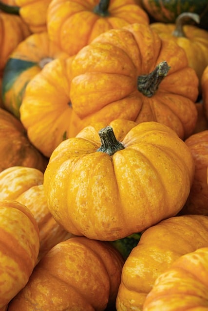 pumpkins fall vegetables harvest farm yard pumpkin farm to produce food yellow gold close up