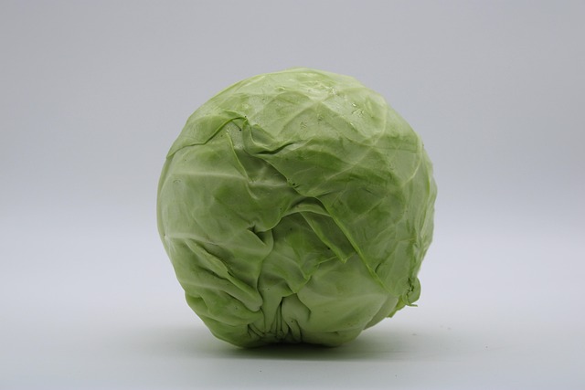 cabbage food vegetable costs cabbage cabbage cabbage cabbage cabbage