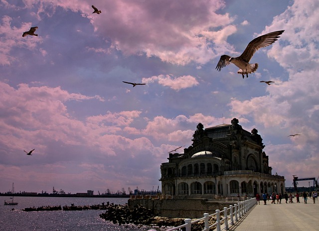 casino constant seagulls black sea constant constant constant constant constant