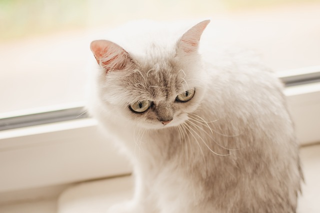 What the evidence does NOT establish — Short personality tests
