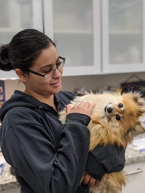 dog veterinarian veterinary clinic nature vet woman female pet animal domestic dog canine mammal cute adorable portrait