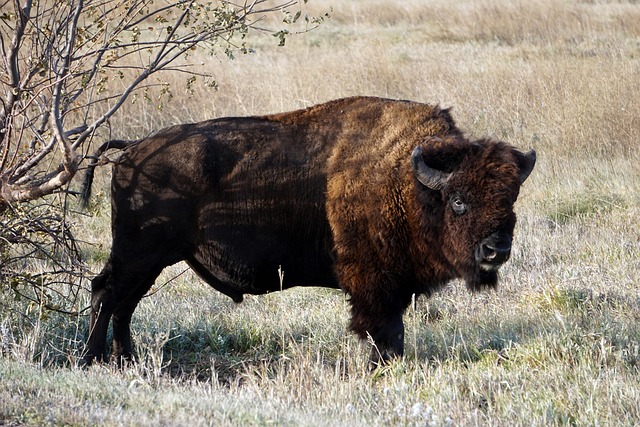 What the Data Doesn't Tell You — South Dakota Ranch Insurance