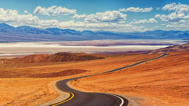 Options compared: Business Select vs low fare — Southwest Companion Pass