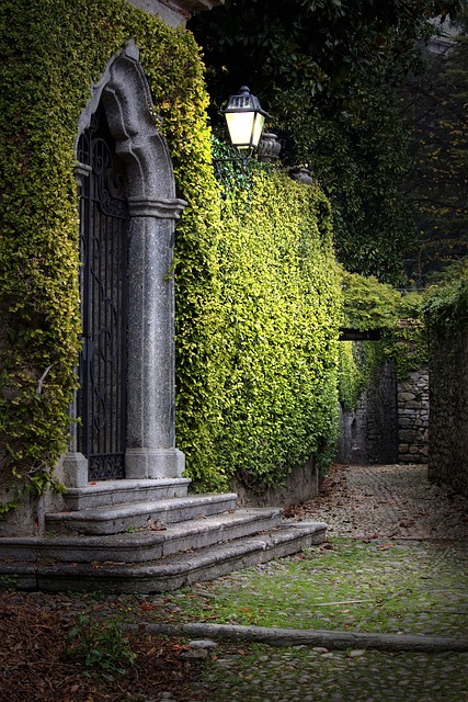 lamppost evening nature dark garden park narrow street lantern nocturne gate ride steps entrance hedge vegetation green arc