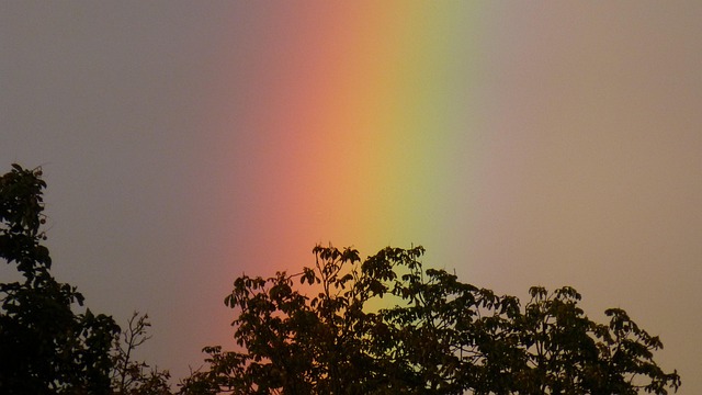rainbow rain spectral colors nature mood clouds heaven rainbow rainbow rainbow rainbow rainbow spectral colors spectral colors