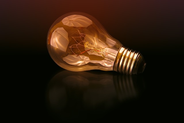 An 8-Sentence Jungle Story — Story Ideas for Writers