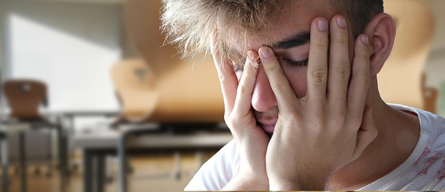 Four Evidence Anchors — Student Stress Test 2