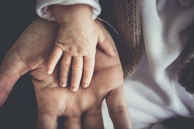 What the Evidence Does NOT Establish — Support Docs Rewrite