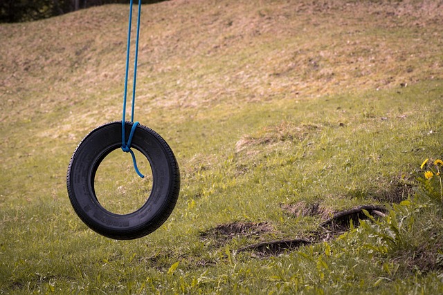 car tire swing tire swing meadow outdoors game device swing device tire swing tire swing tire swing tire swing tire swing