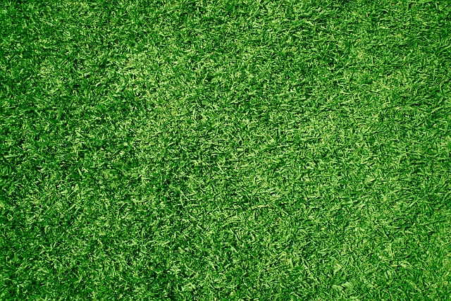lawn grass landscaping artificial yard mowed green backyard front yard cool backgrounds free background turf synthetic laptop w