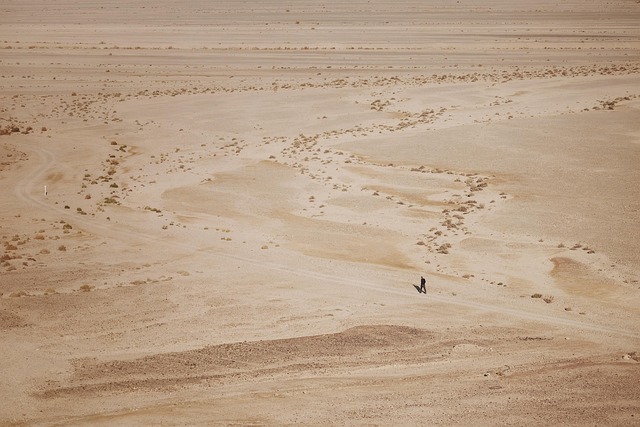 man desert nature walk lonely immense hot minimalism 5 plus english tran thang nhat