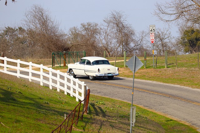 Minimum vs. 100/300/50 vs. Umbrella — Texas Auto Insurance Minimums