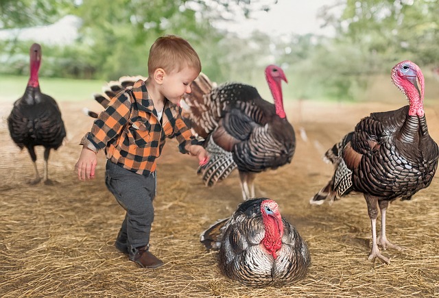 Key Factors to Consider — Thanksgiving Baby Boom