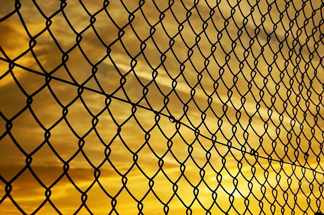 Insider Tactics — The link between patient pulse scores