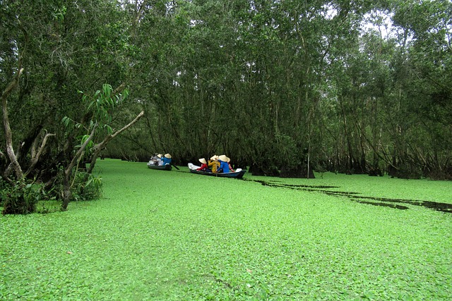 vietnam between on forest reserves of between about