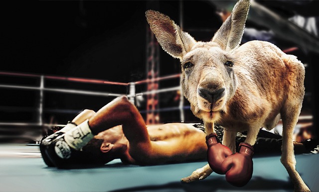 Costs and Numbers That Matter — Trademark Knockout vs Watch for AI