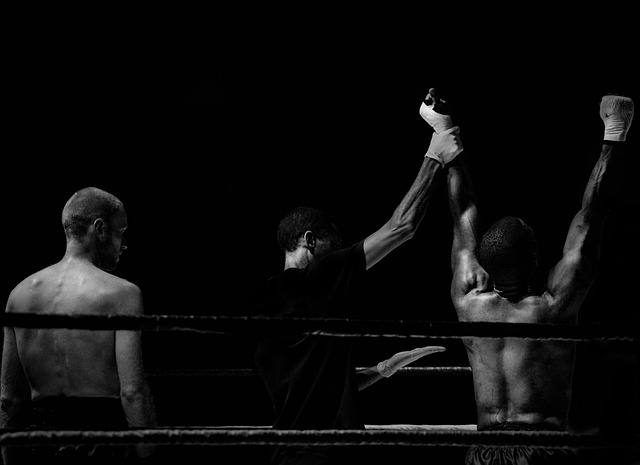 Options Compared: Knockout vs Watch — Trademark Knockout vs Watch for AI