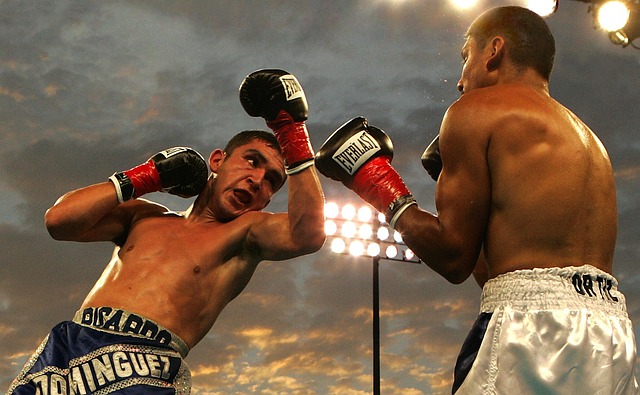 The Evidence: What the available sources Supports — Trademark Knockout vs Watch for AI