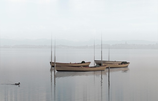boats lake haze water duckling swimming wading nature fishing boats rowboats misty fog foggy anchored