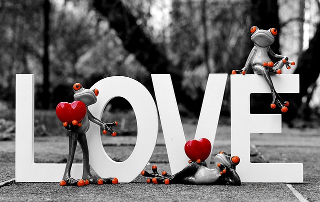 frogs love valentine s day greeting card romance affection feelings together united characters lettering love valentine s day v