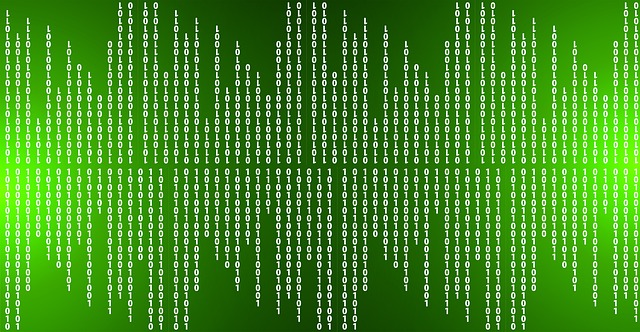 Decision Framework — USPTO 2025 AI Rule