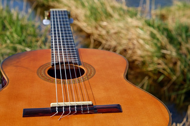 guitar musical instrument stringed instrument wooden guitar acoustic guitar instrument strings sound music acoustic epiphone chor
