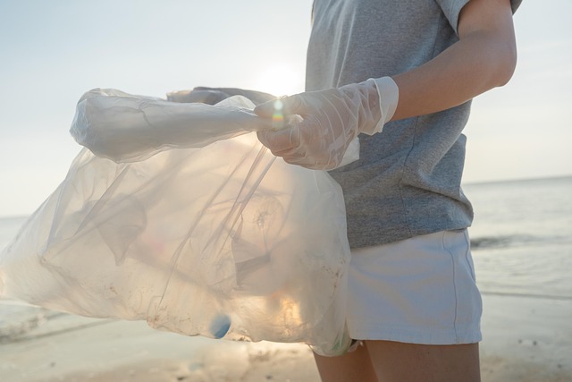 volunteer pollution bottle plastic environment sea beach dirty problem global warming ecology junk person waste ocean sand re