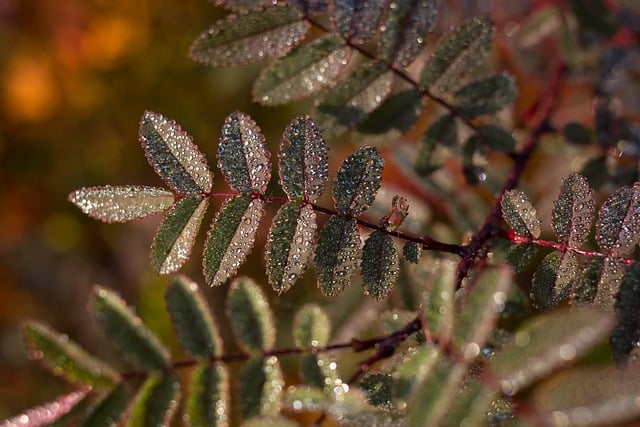 Key Factors to Consider — Verify temporal consistency in video super-resolution