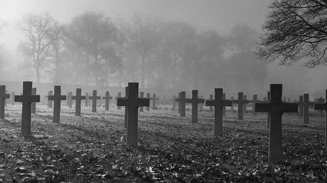 Dayton 240-Visit Rescue — Veterans Day Clinic Closures