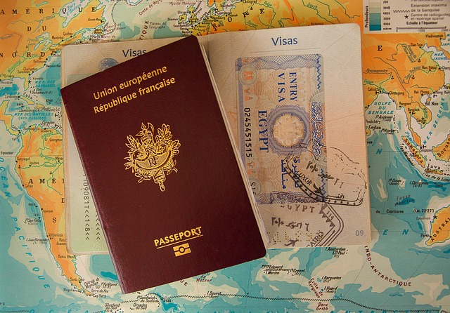 passport visa border buffer customs passport visa visa visa visa visa