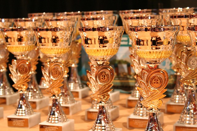 cup winner award award award award award award