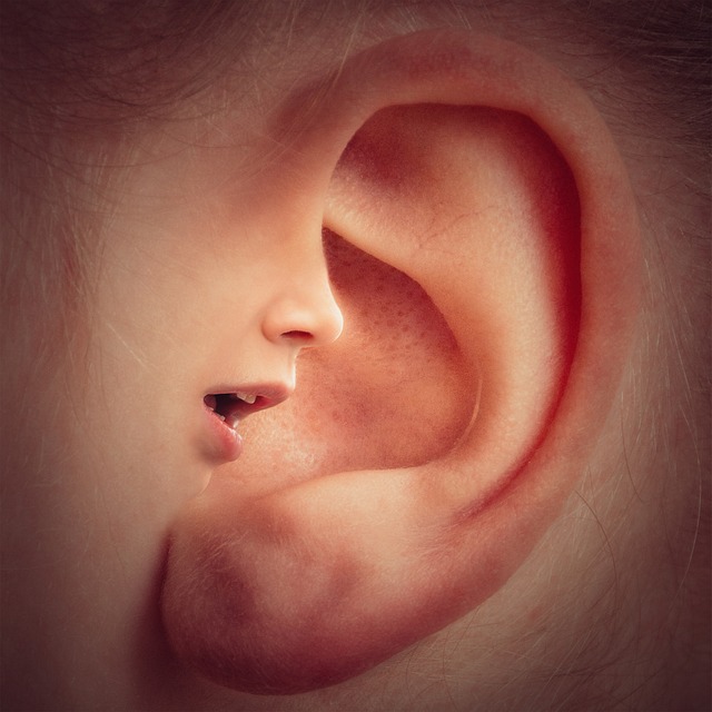 ear mouth nose face head voices talk whisper secret ear ear ear ear ear talk whisper secret