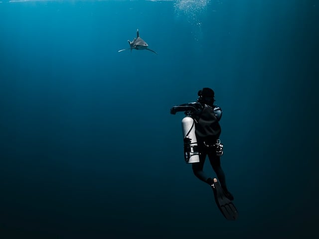 What the Data Doesn't Tell You — Why 47 Shark Bites in 2024